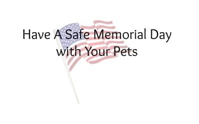 Have A Safe Memorial Day with Your Pets – Tips From Karla