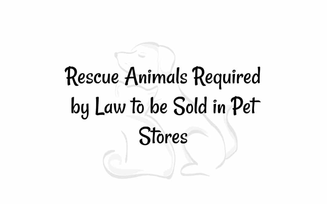 California is Firsts: Rescue Animals Required by Law to be Sold in Pet Stores