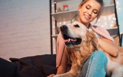 GIFTS FOR PET LOVERS THAT DON’T REQUIRE LEAVING YOUR HOUSE!