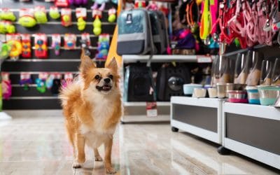 Best Places to Buy Pet Supplies in Elk Grove CA
