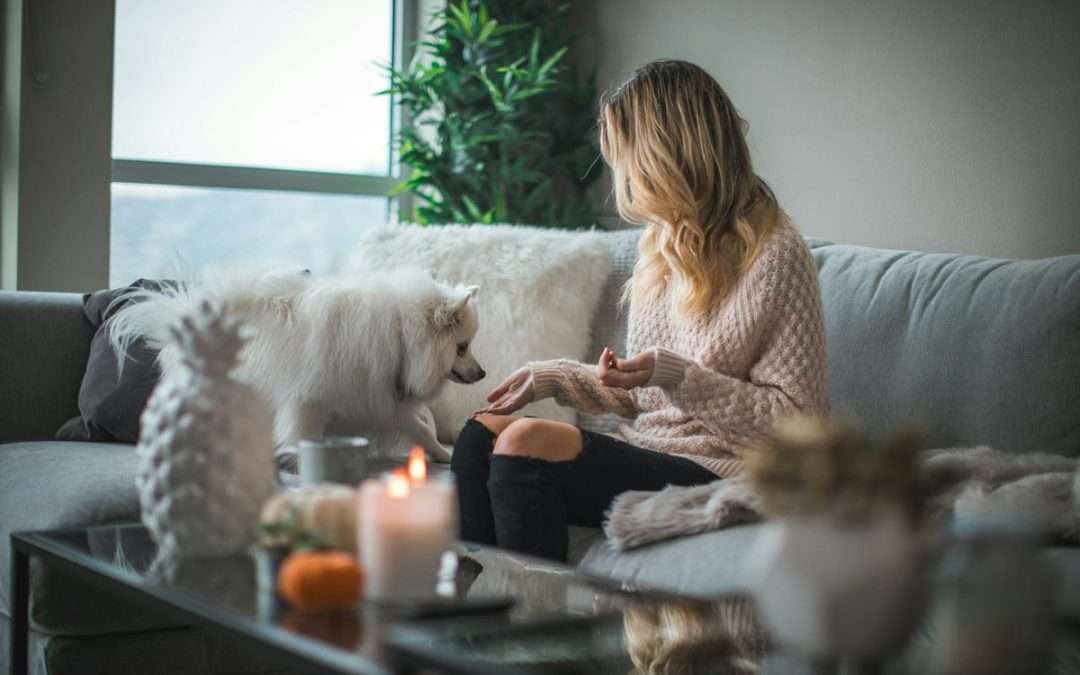 Halloween Pet Sitting in Elk Grove (Care While You’re Out Trick-or-Treating)