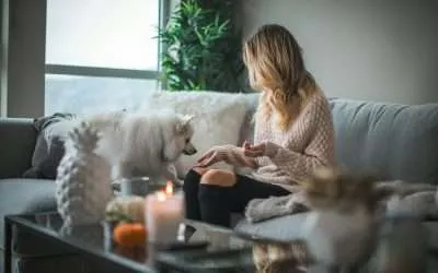 Halloween pet sitting in Elk Grove: calm dog resting safely in the living room with a Karla's Pet Care sitter